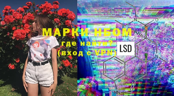 ГАЛЛЮЦИНОГЕННЫЕ ГРИБЫ Покачи