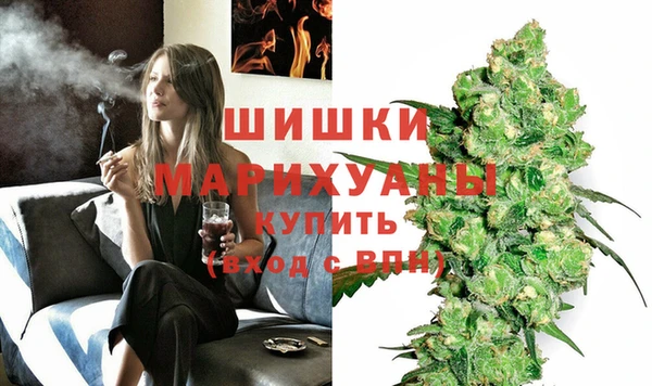 ГАЛЛЮЦИНОГЕННЫЕ ГРИБЫ Покачи