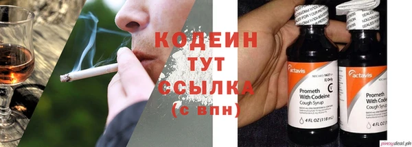 ГАЛЛЮЦИНОГЕННЫЕ ГРИБЫ Покачи