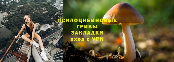 гидра Покров