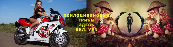 гидра Покров