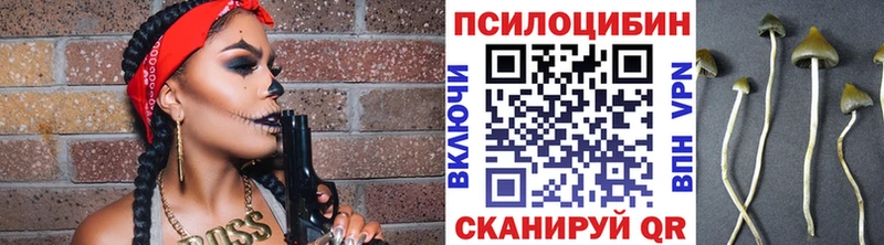 Купить закладки  Хадыженск  Псилоцибиновые грибы GOLDEN TEACHER 